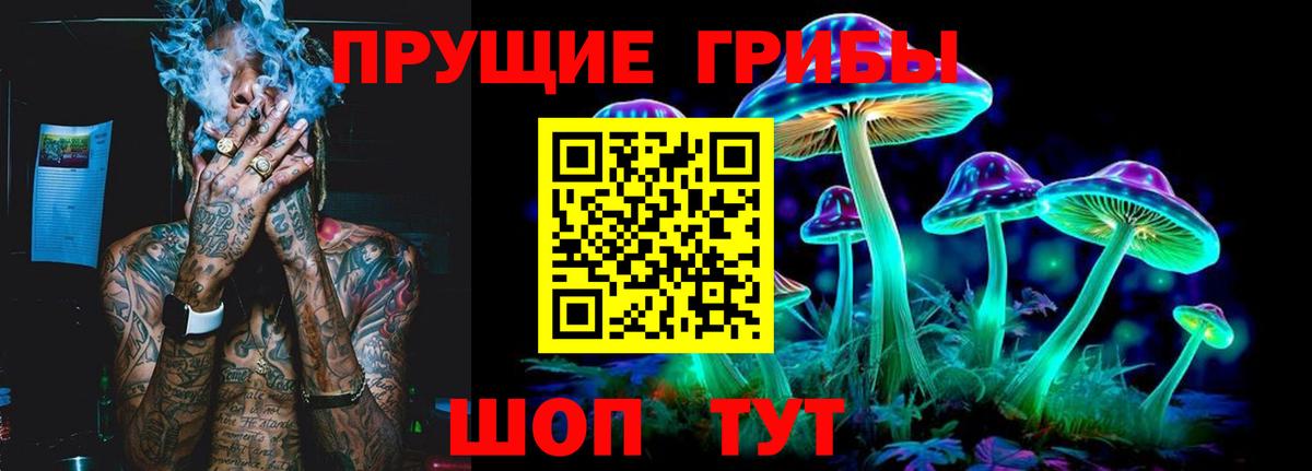Менделеевск  даркнет сайт  Вход с VPN  Псилоцибиновые грибы Cubensis 